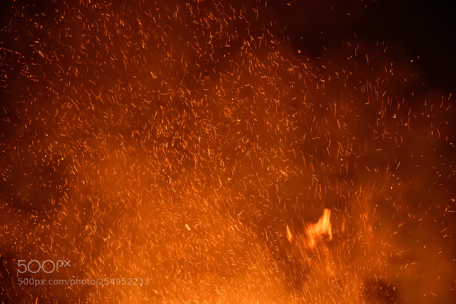 Nikon D7200 sample photo. Bonfirenight2017 photography