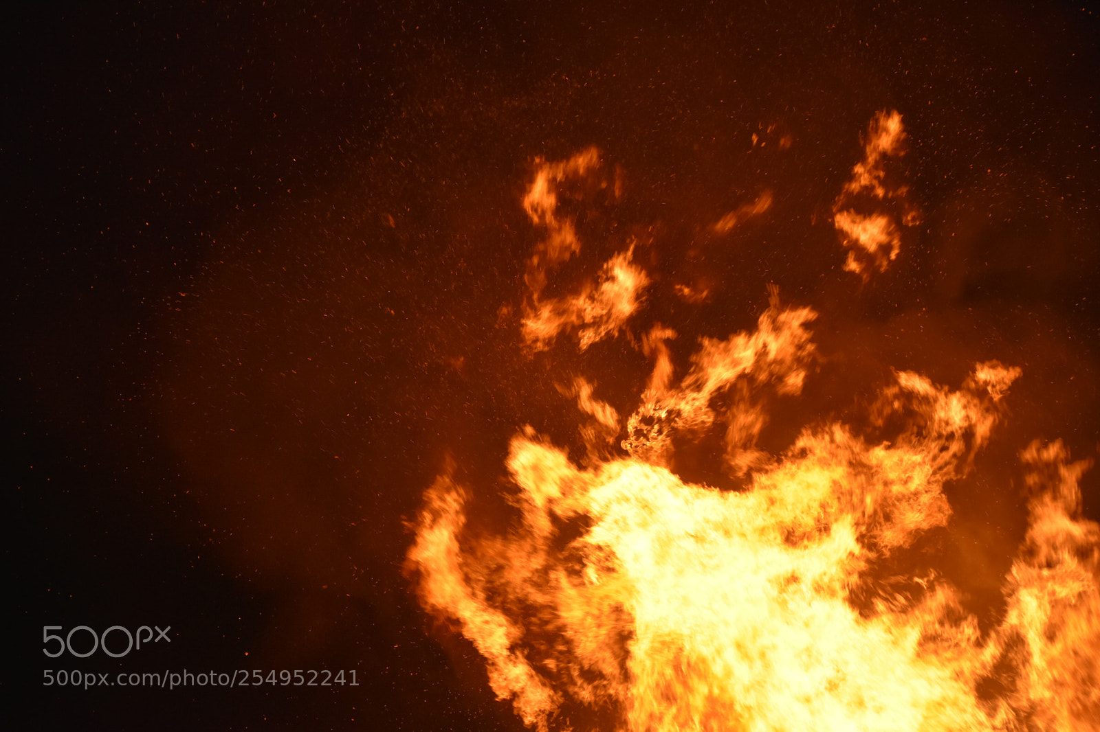 Nikon D7200 sample photo. Bonfirenight2017 photography