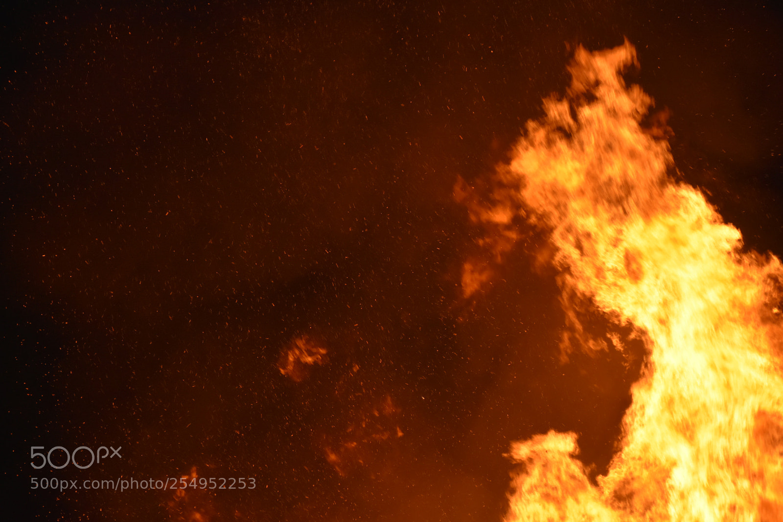 Nikon D7200 sample photo. Bonfirenight2017 photography