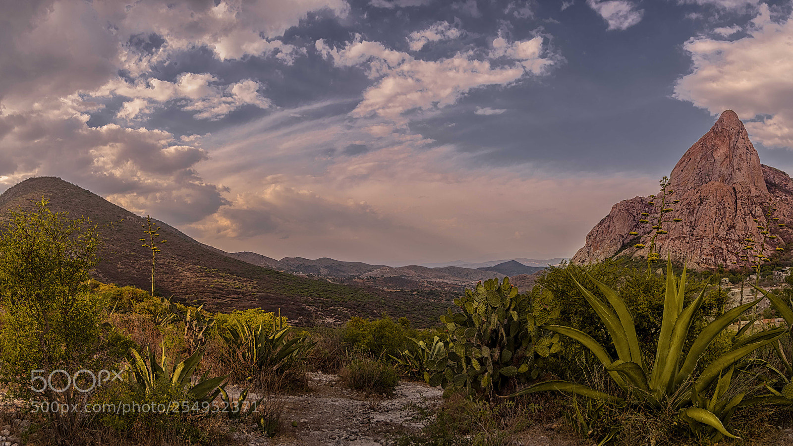 Nikon D3300 sample photo. Pen a de bernal photography