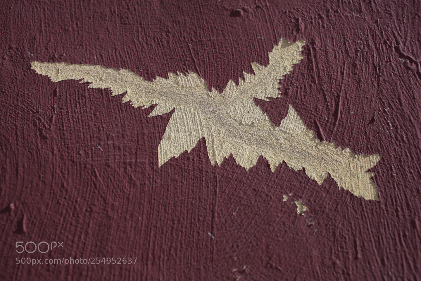 Canon EOS 5D Mark II sample photo. Hawk photography