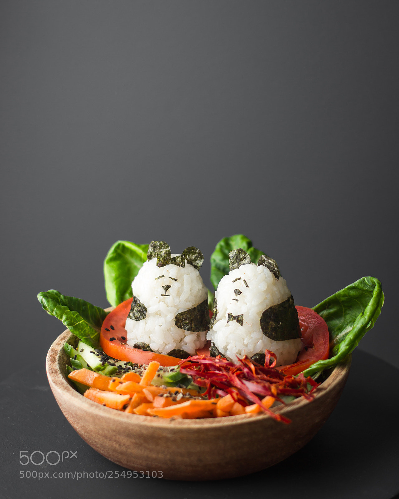 Canon EOS 600D (Rebel EOS T3i / EOS Kiss X5) sample photo. Vegan japanese food for photography