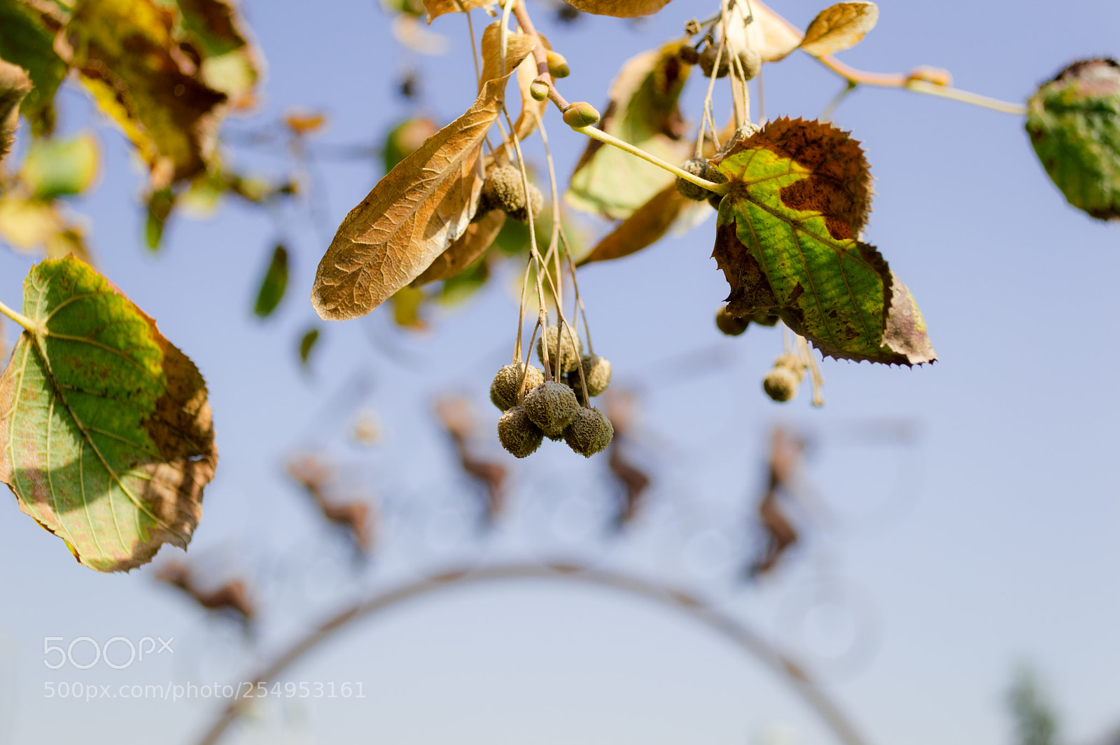 Nikon D3200 sample photo. Parque photography