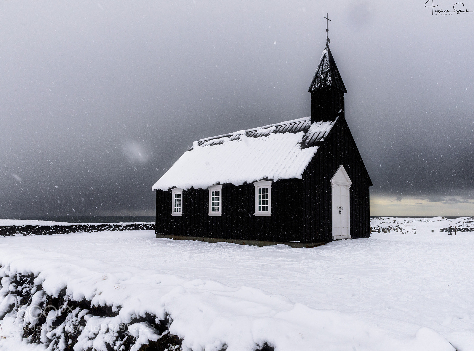Nikon D810 sample photo. Standing strong in storm photography