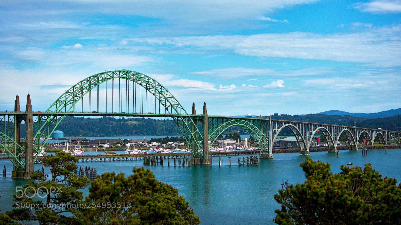 Nikon D3400 sample photo. Bridge photography