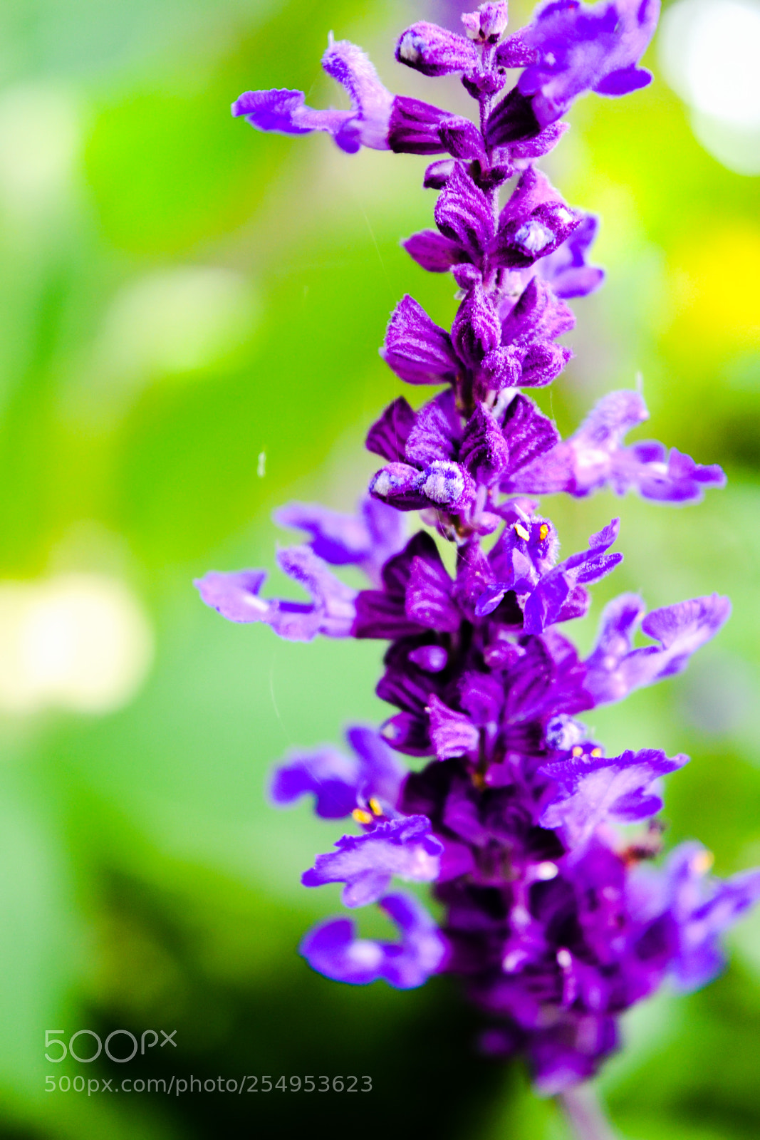 Nikon D3300 sample photo. Edited photography