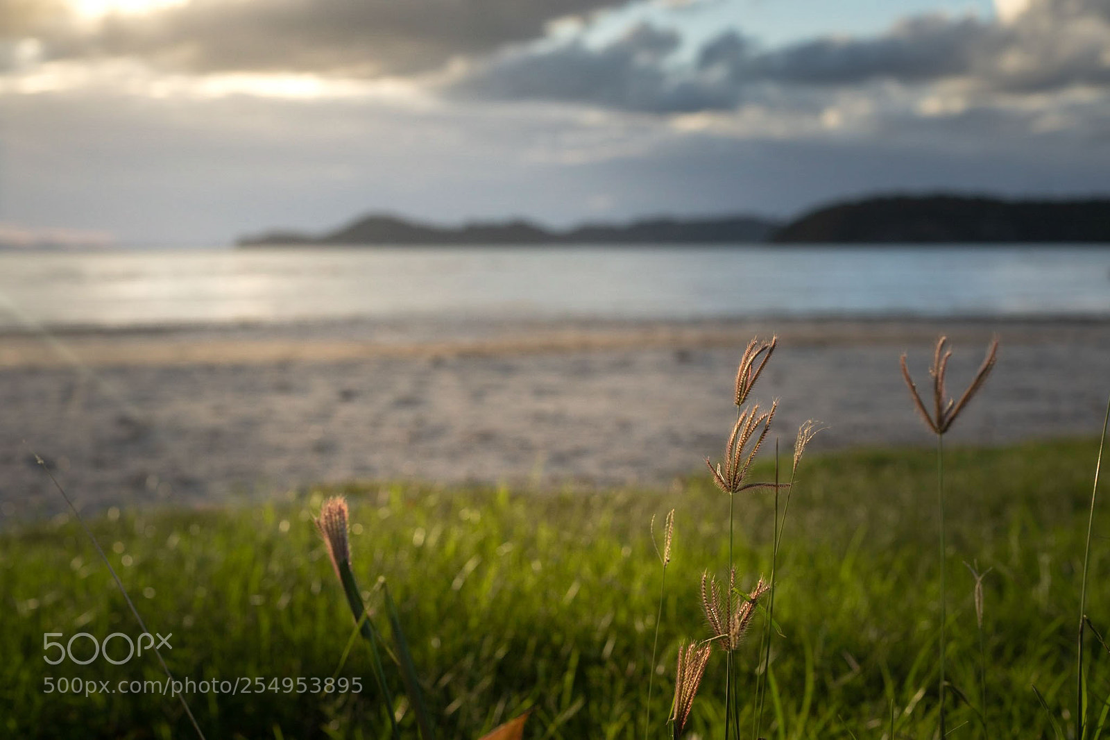 Canon EOS 6D Mark II sample photo. Golden hour photography
