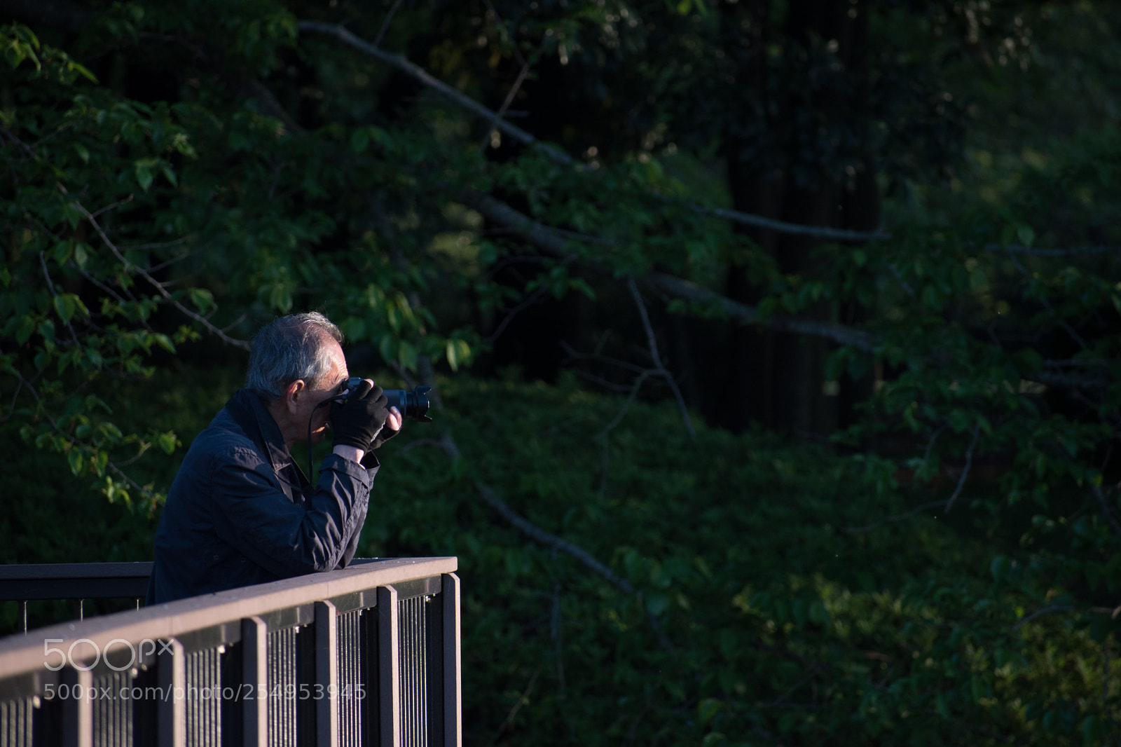 Nikon D5600 sample photo. What is he looking photography