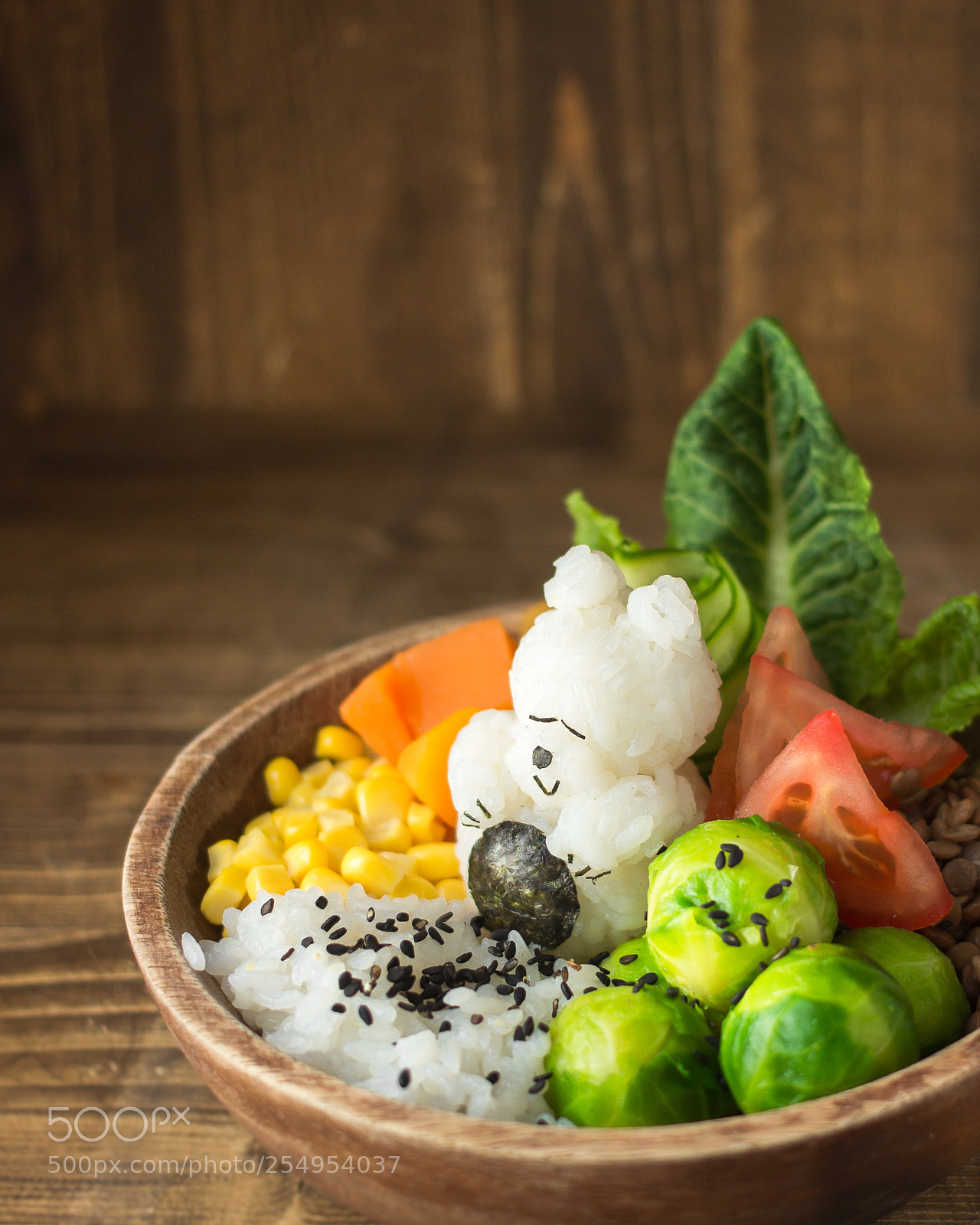 Canon EOS 600D (Rebel EOS T3i / EOS Kiss X5) sample photo. Vegan japanese food for photography