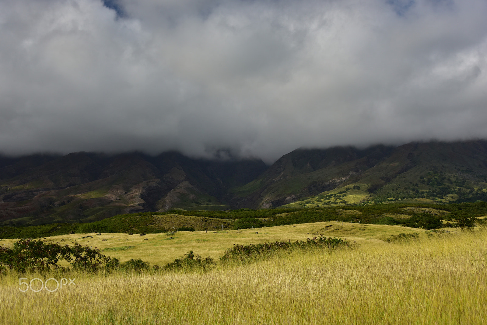 Nikon D810 sample photo. Maui driving photography