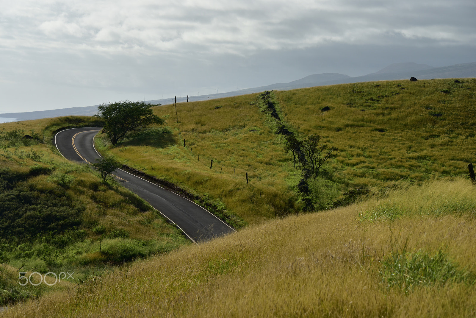 Nikon D810 sample photo. Maui driving photography