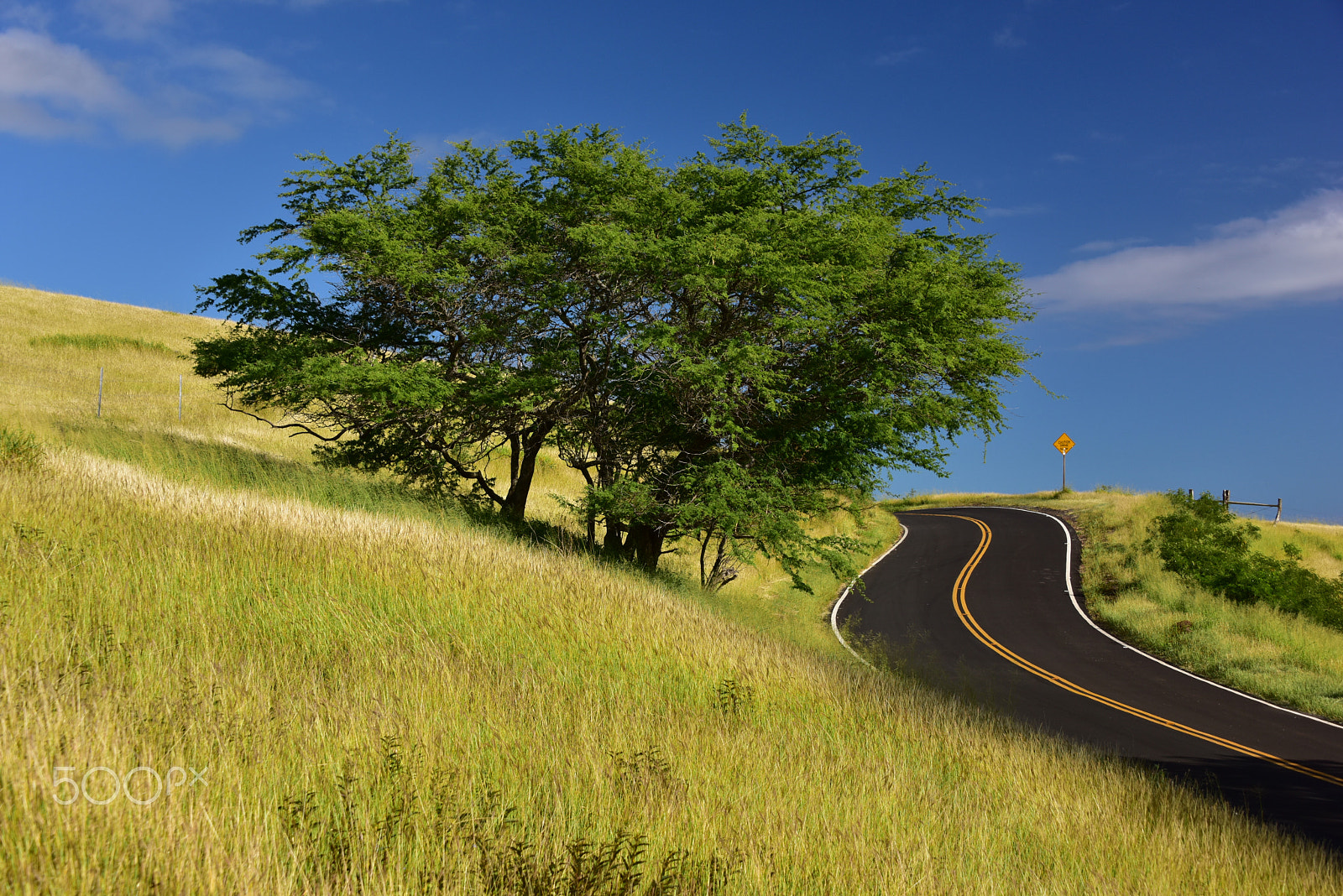 Nikon D810 sample photo. Kaupo ranch land and highway to hana photography