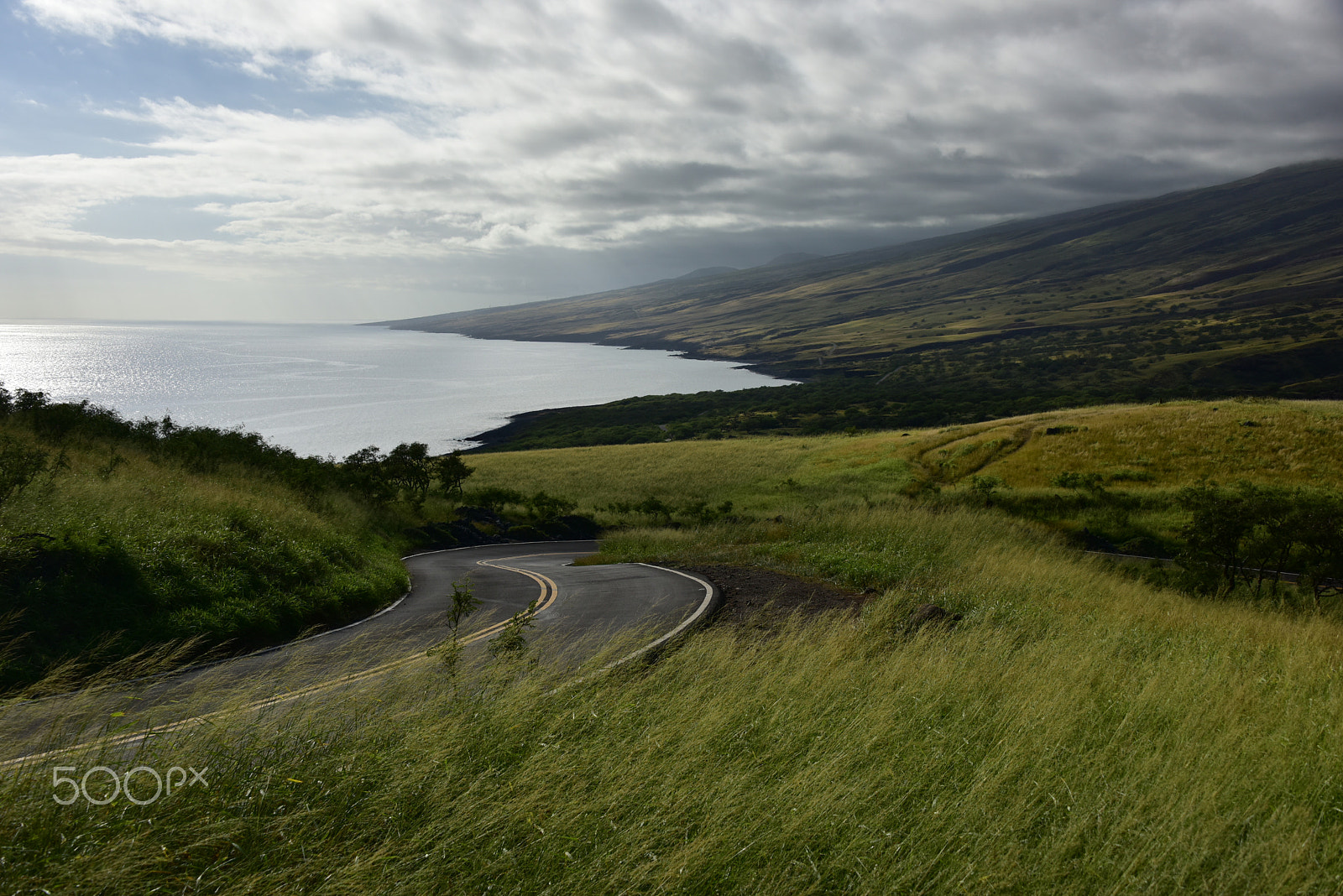 Nikon D810 sample photo. Hana highway - back side photography