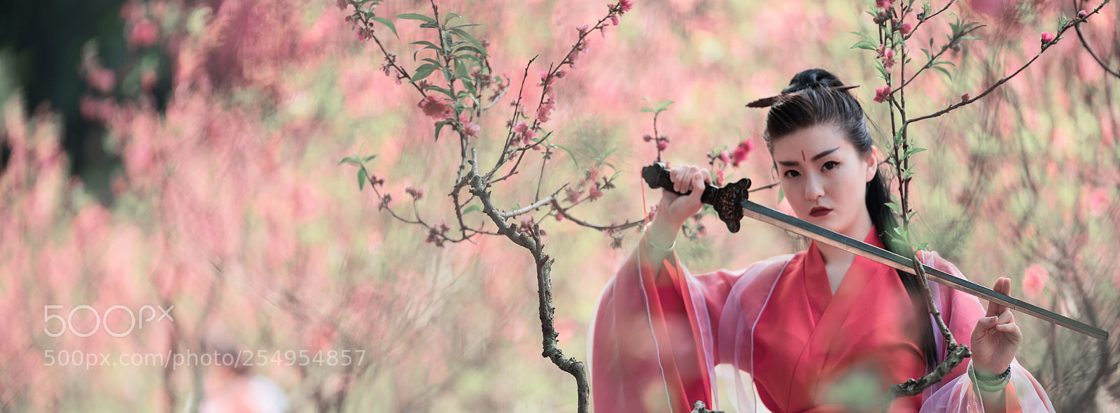 Fujifilm GFX 50S sample photo. 醉。桃花 photography