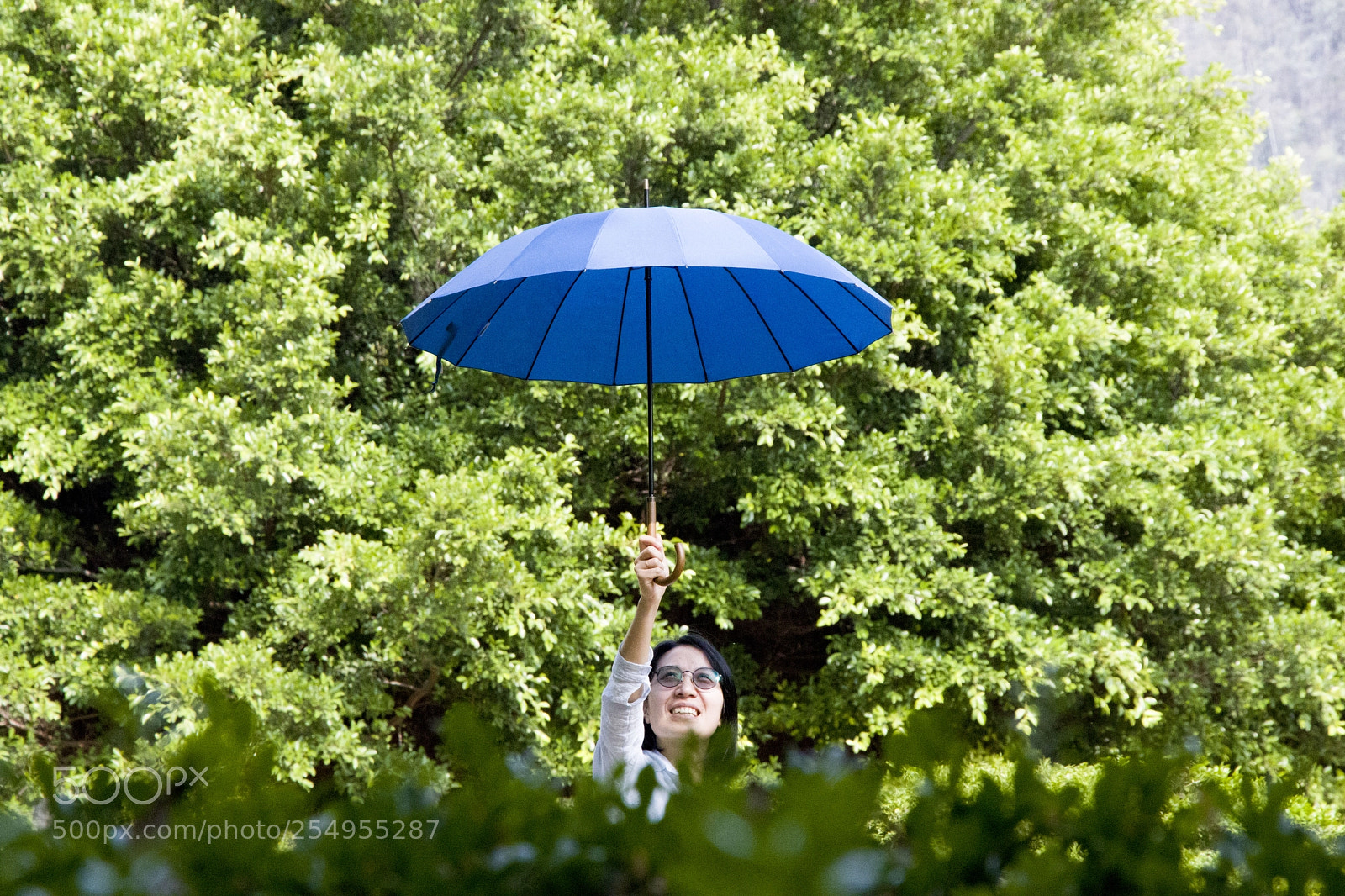Canon EOS 77D (EOS 9000D / EOS 770D) sample photo. Img photography