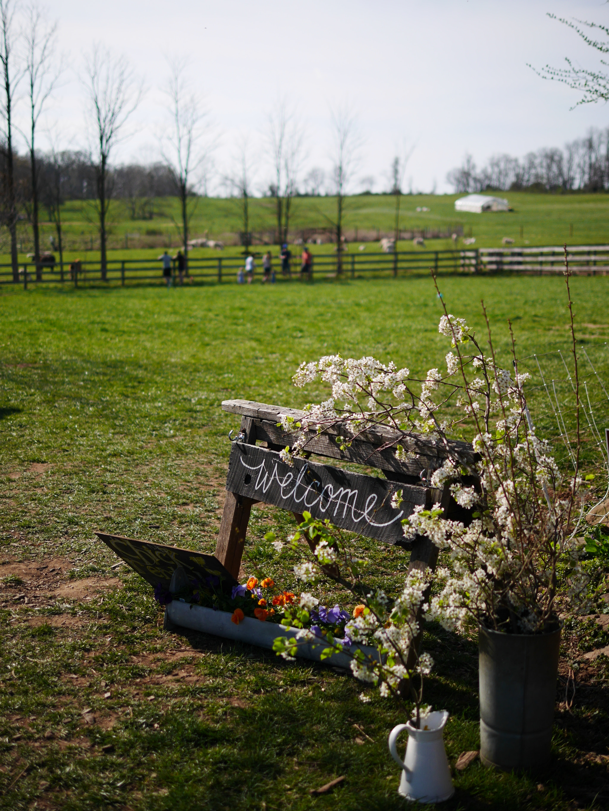 Panasonic Lumix DMC-GM1 sample photo. Welcome to rockland farms photography