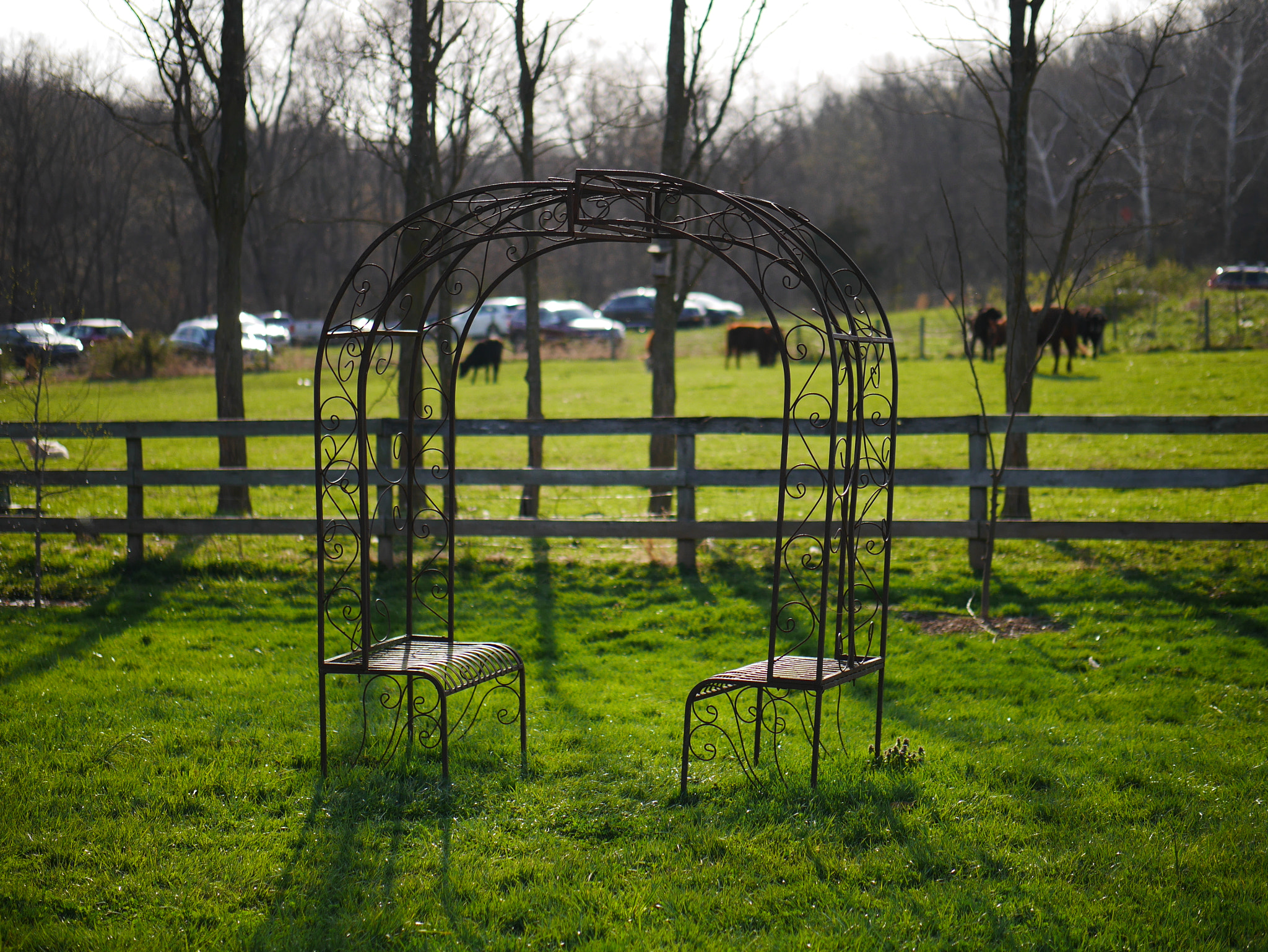 Panasonic Lumix DMC-GM1 sample photo. Rockland farms photography