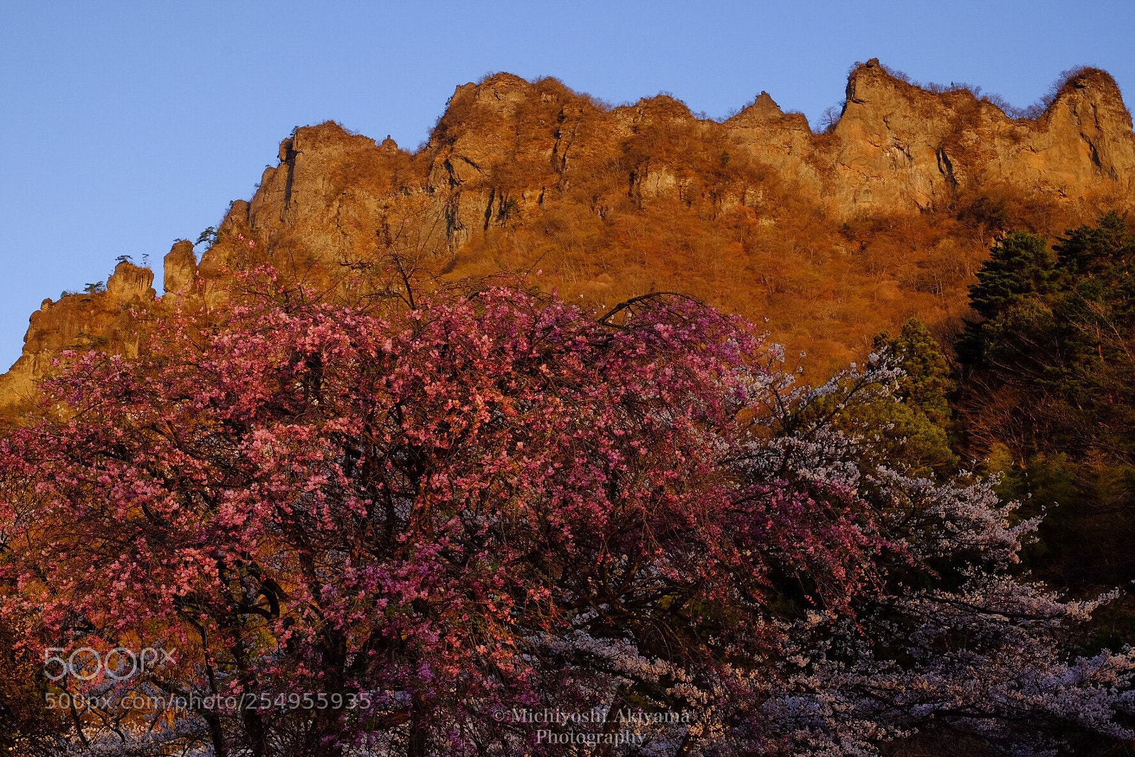 Fujifilm X-T1 sample photo. Strange rock and cherry photography
