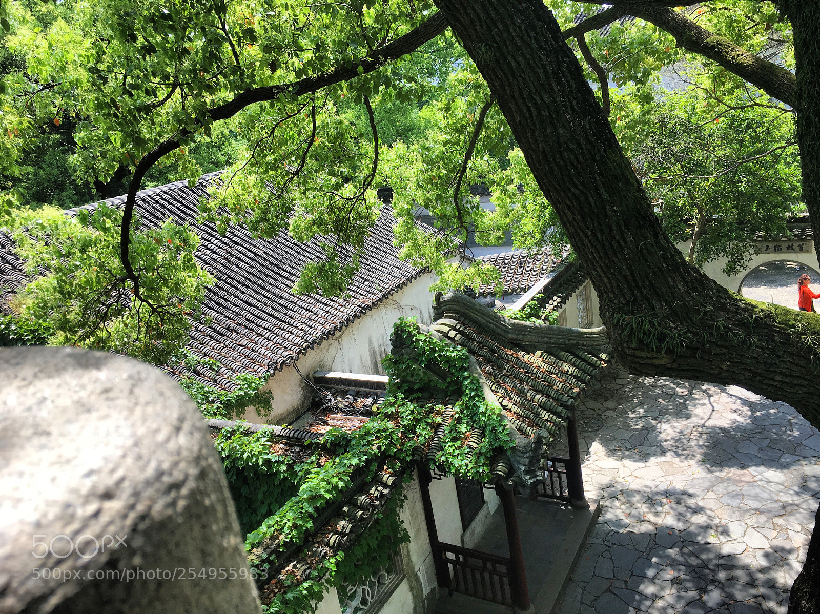 Apple iPhone 6s sample photo. Suzhou, china tiger hill photography