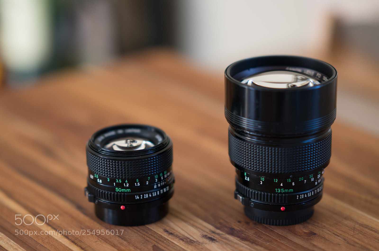 Sony a7R III sample photo. Vintage fd lenses photography