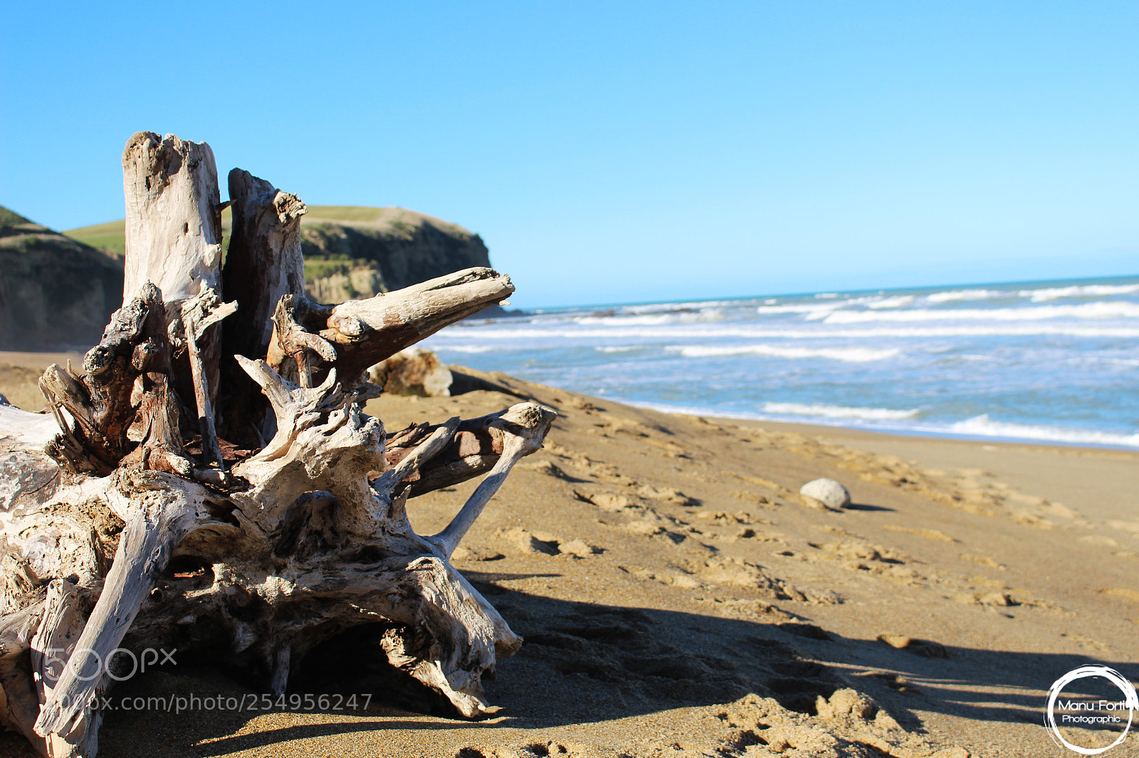 Canon EOS 700D (EOS Rebel T5i / EOS Kiss X7i) sample photo. A day at the photography