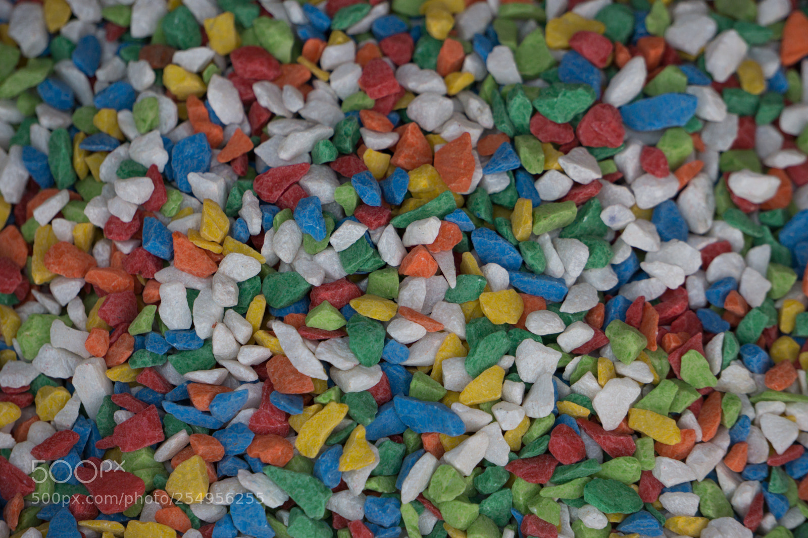 Sony a6000 sample photo. Colorful rock for fish photography