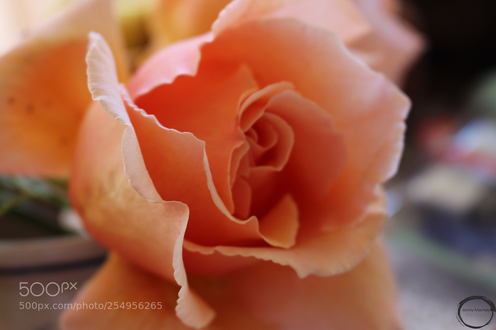 Canon EOS 700D (EOS Rebel T5i / EOS Kiss X7i) sample photo. A day at the photography