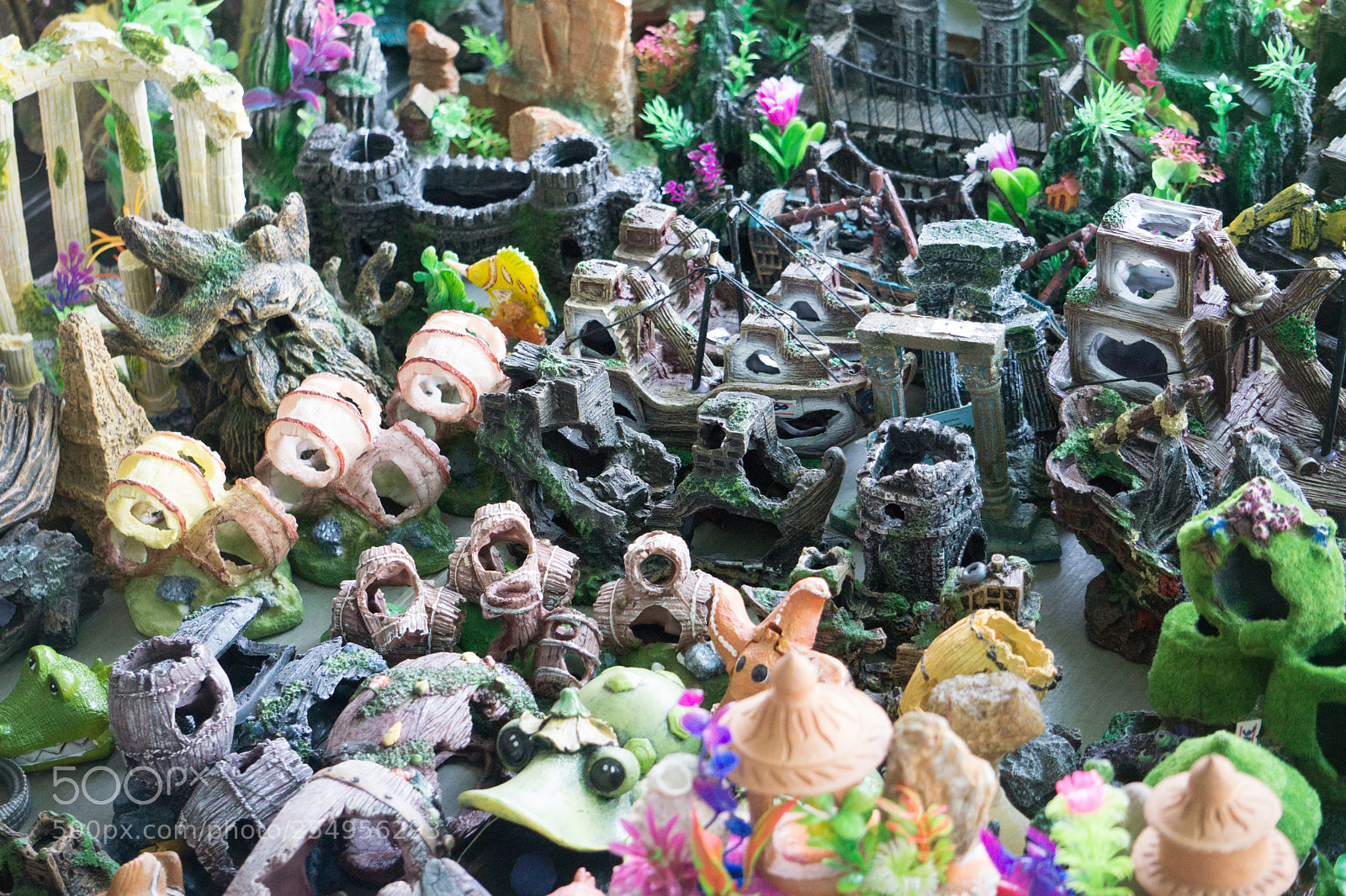 Sony a6000 sample photo. Fish tank decoration in photography