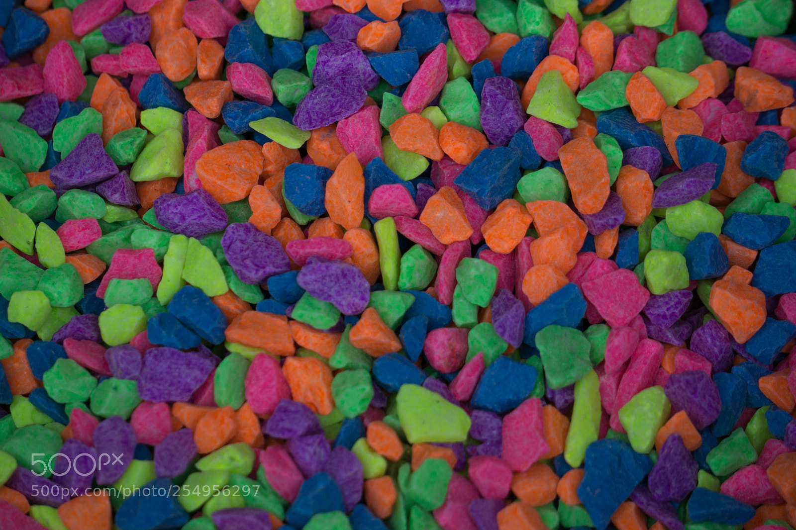 Sony a6000 sample photo. Colorful rock for fish photography