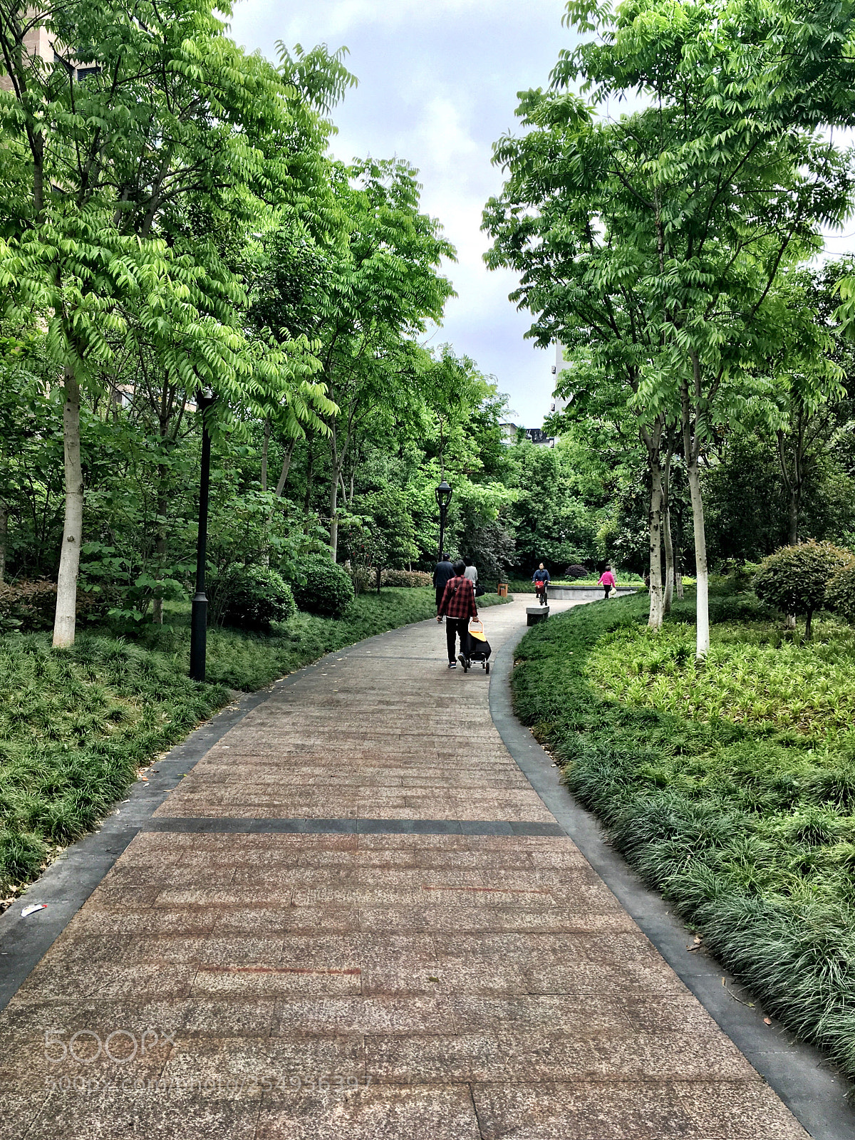 Apple iPhone SE sample photo. Clear photography