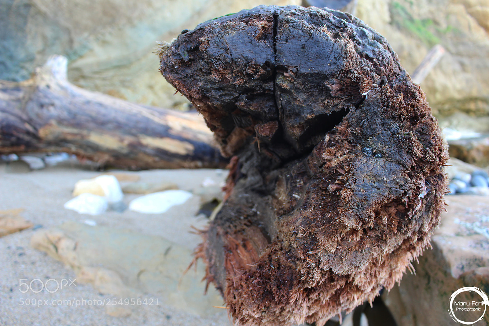 Canon EOS 700D (EOS Rebel T5i / EOS Kiss X7i) sample photo. A day at the photography