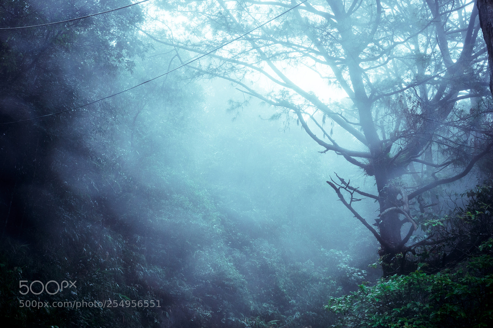 Sony a6000 sample photo. _dsc8340-2.jpg photography