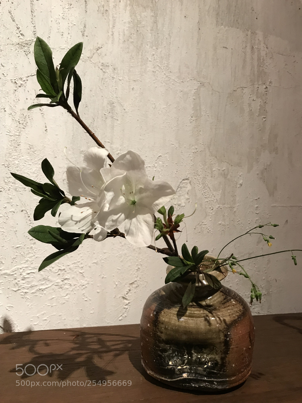 Apple iPhone 7 sample photo. Orient style photography