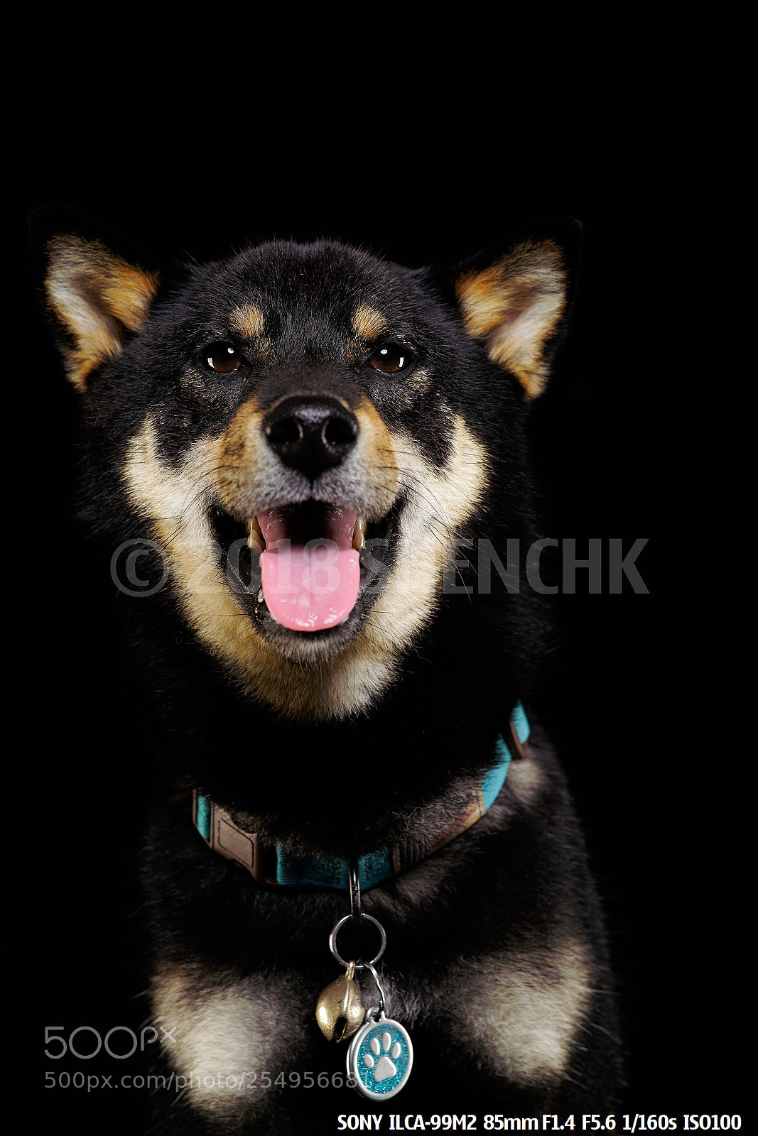 Sony a99 II sample photo. The lovely ones photography