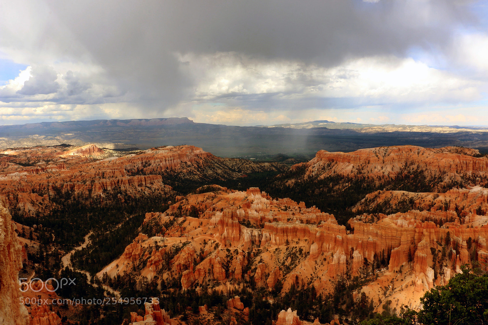 Canon EOS 70D sample photo. Stormy day at bryce photography