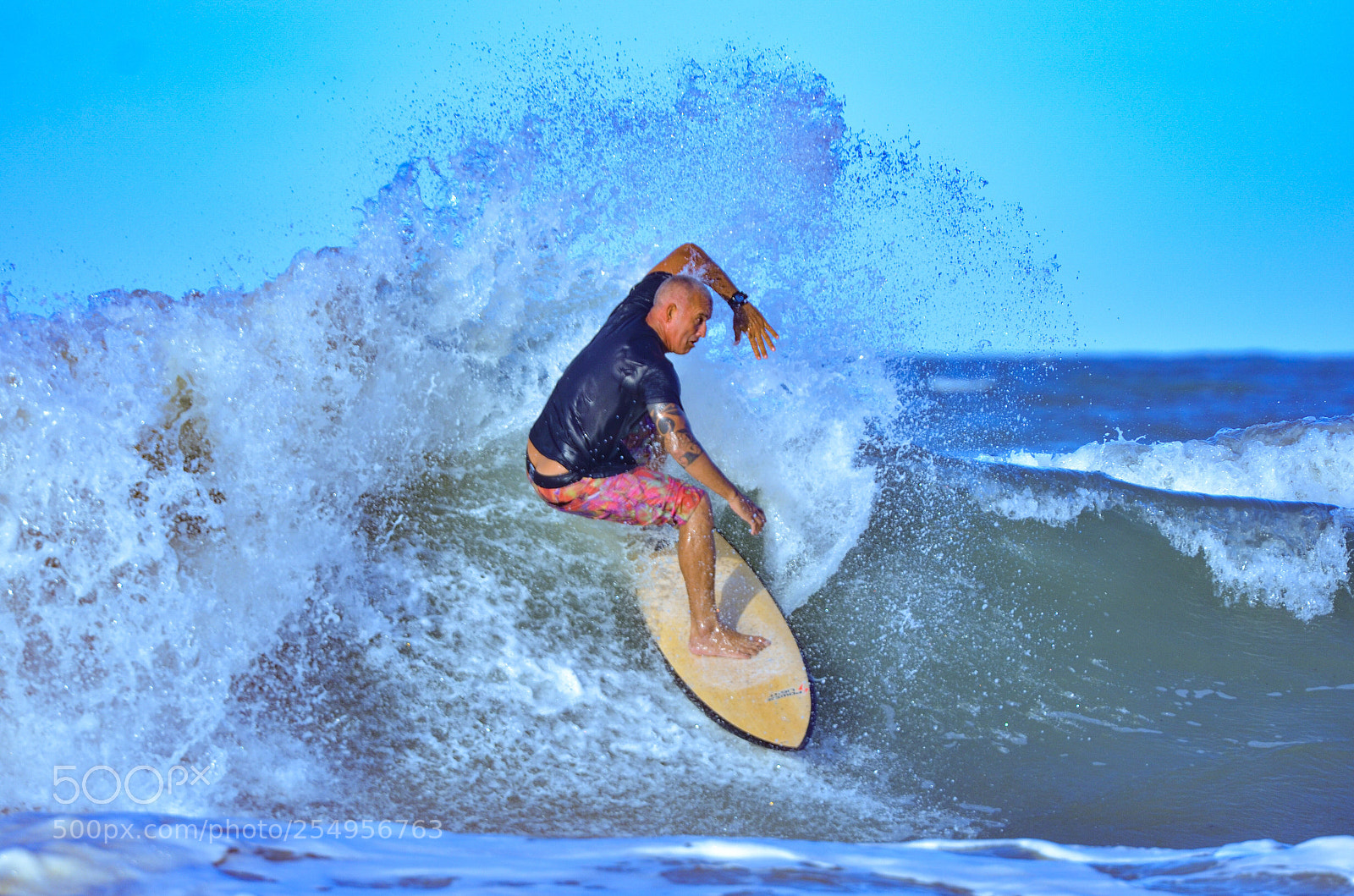 Nikon D7000 sample photo. Cutback... photography