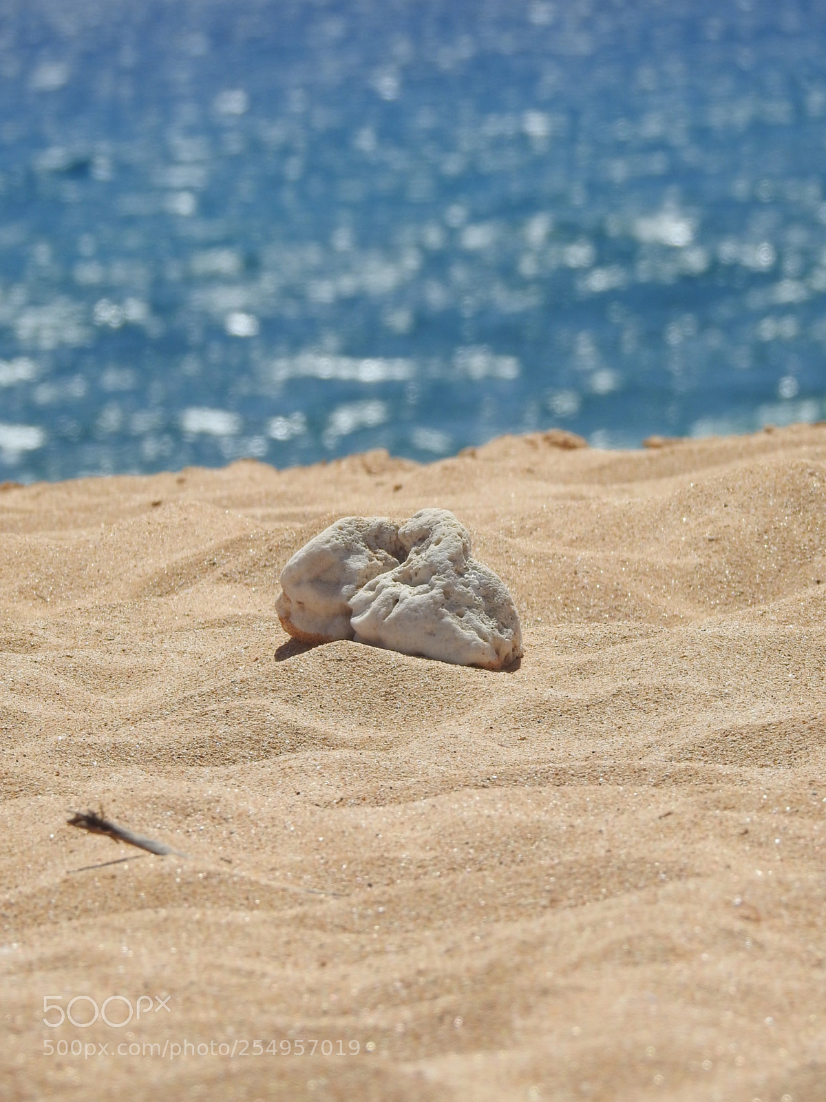 Nikon Coolpix P900 sample photo. Beach life photography
