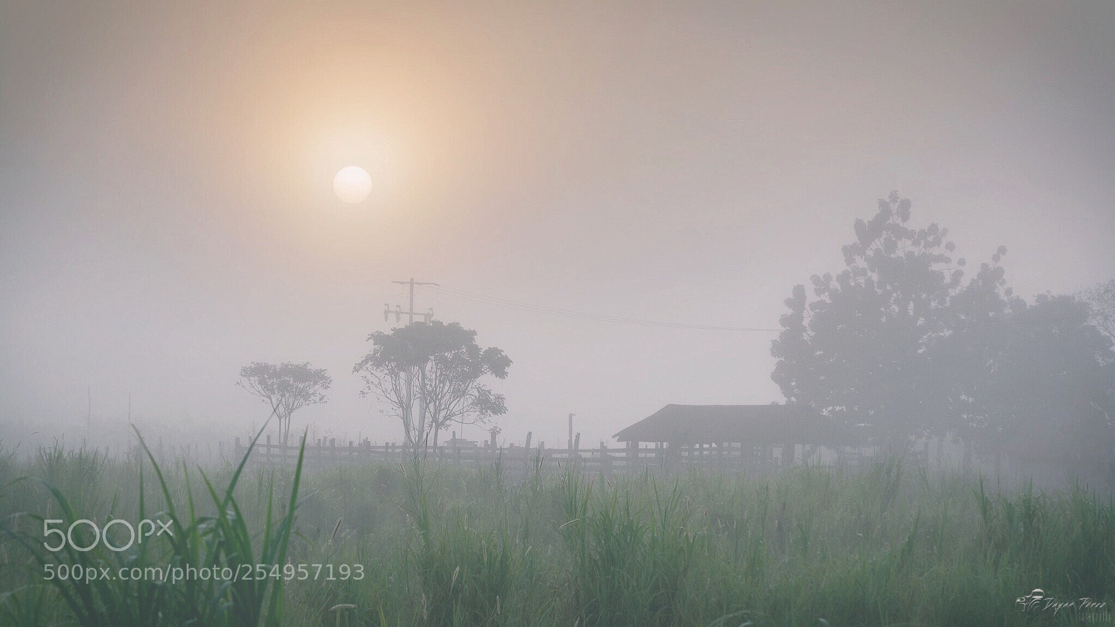 Nikon D5200 sample photo. Al salir el sol photography