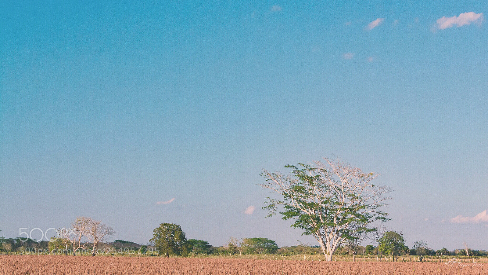 Nikon D5200 sample photo. Al salir el sol photography