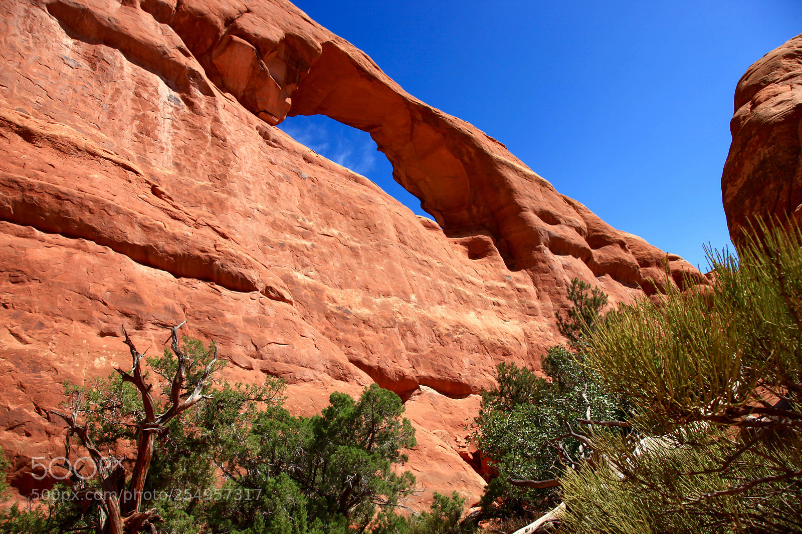 Canon EOS 5D Mark II sample photo. Arches beauty photography