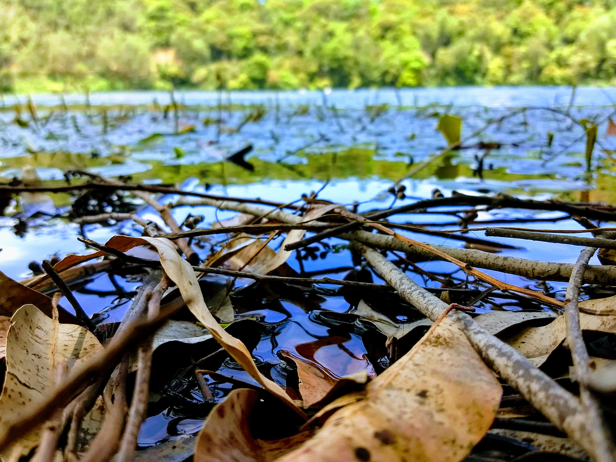Motorola Moto Z (2) Play sample photo. Sky reflect photography