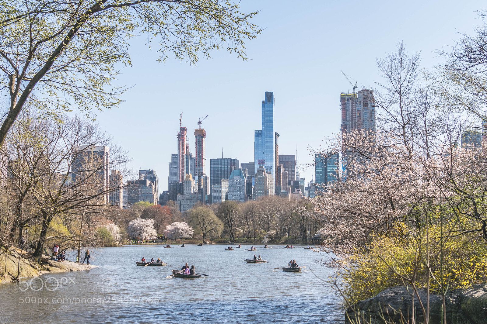 Nikon D5300 sample photo. Row photography