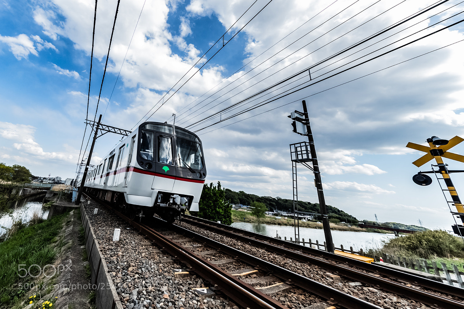 Canon EOS-1D X Mark II sample photo. Go~ photography