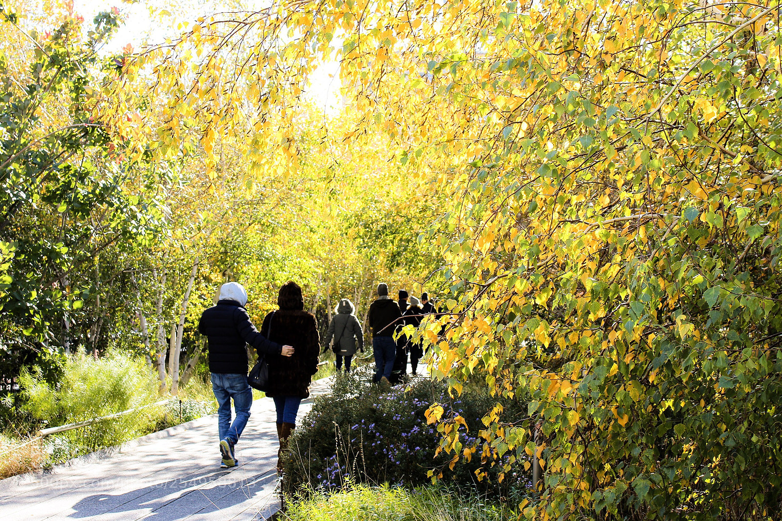 Canon EOS 700D (EOS Rebel T5i / EOS Kiss X7i) sample photo. The high line photography