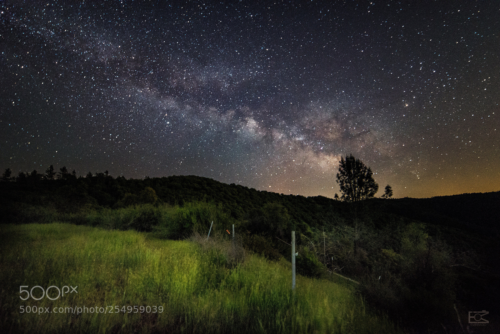 Nikon D610 sample photo. Peaceful night  photography