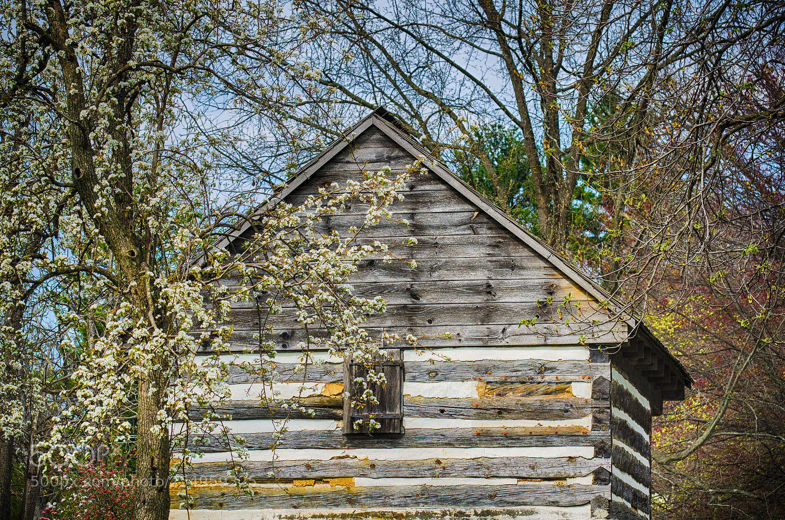 Nikon D7000 sample photo. Abandoned photography