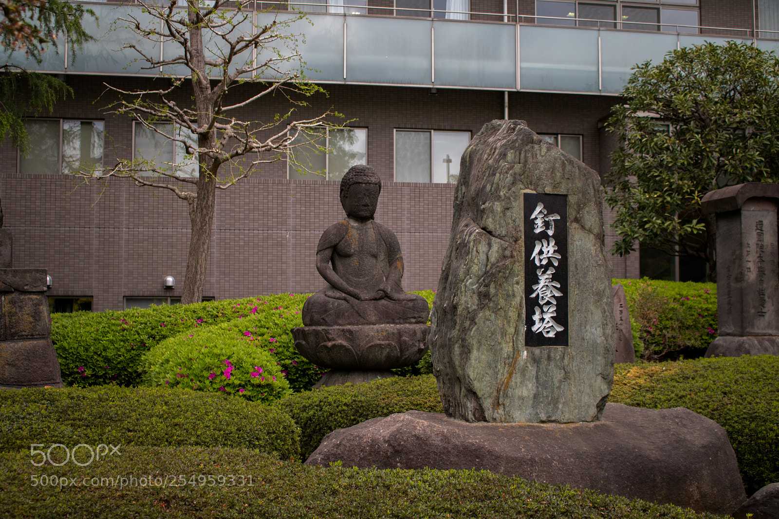Canon EOS 750D (EOS Rebel T6i / EOS Kiss X8i) sample photo. Peaceful photography