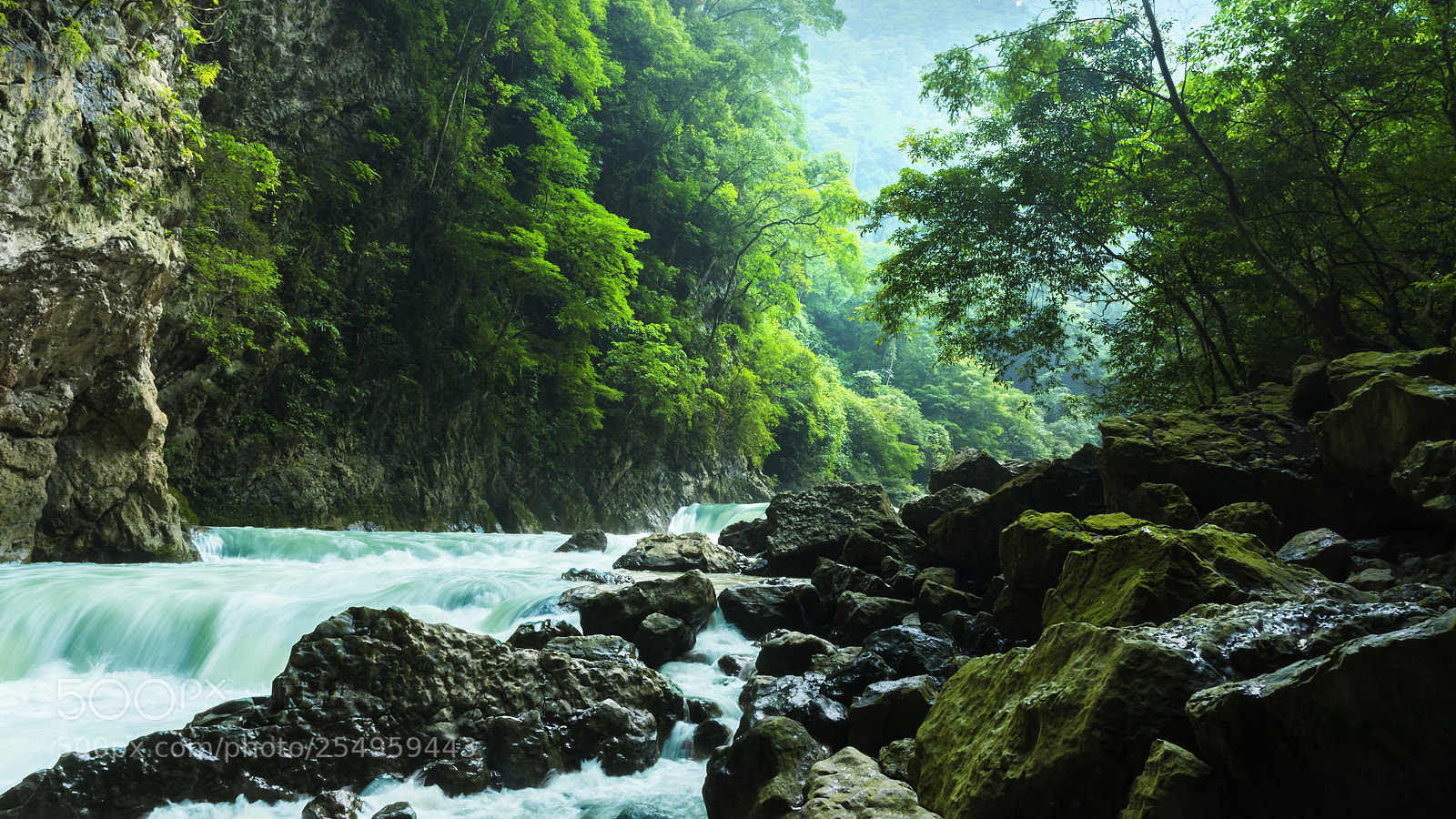 Nikon D7100 sample photo. 清幽 photography