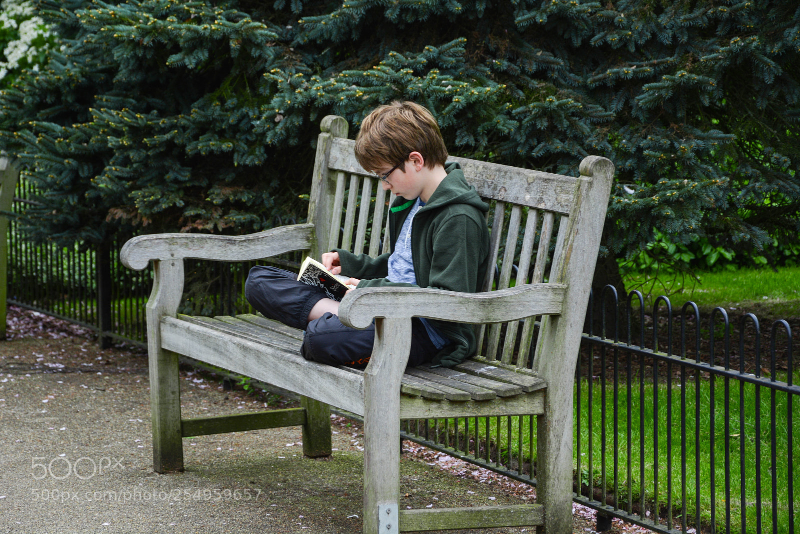 Nikon D5200 sample photo. Untitled photography