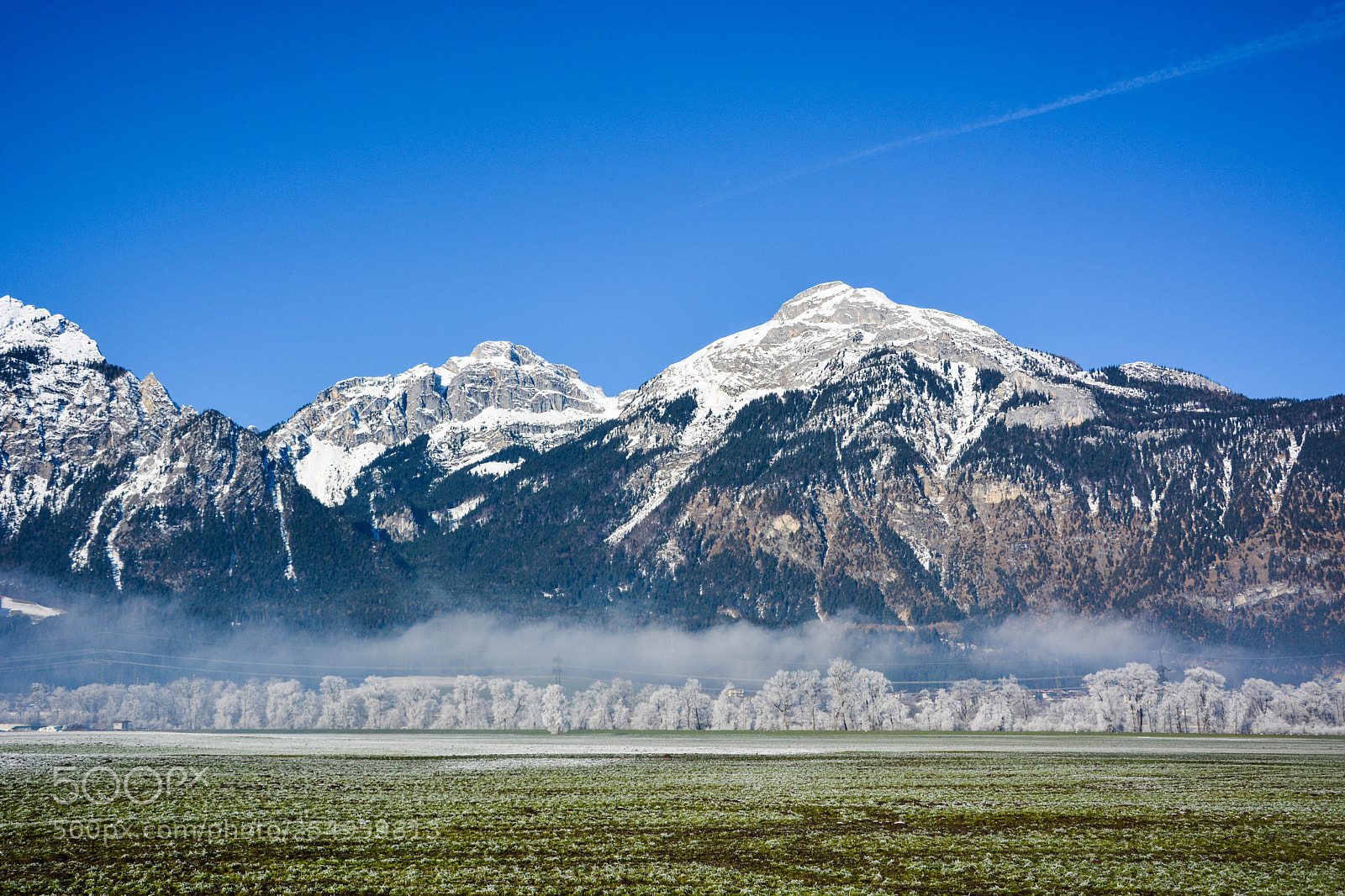 Nikon D5200 sample photo. Untitled photography